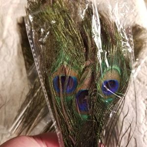 NWOT Peacock feathers